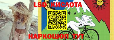 винт Сланцы