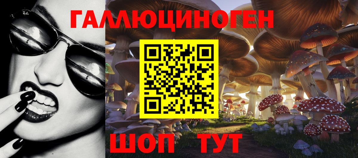 магазин  наркотиков  Псилоцибиновые грибы мицелий  Вход с VPN  Новодвинск 